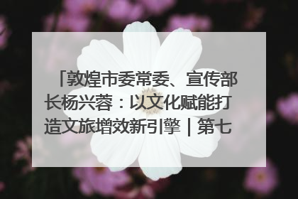 敦煌市委常委、宣传部长杨兴蓉：以文化赋能打造文旅增效新引擎｜第七届全国县域旅游研究成果发布系列活动