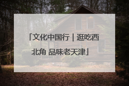 文化中国行｜逛吃西北角 品味老天津