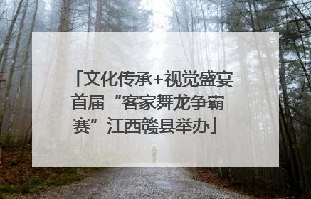 文化传承+视觉盛宴 首届“客家舞龙争霸赛”江西赣县举办