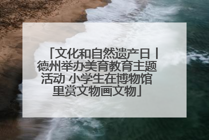 文化和自然遗产日丨德州举办美育教育主题活动 小学生在博物馆里赏文物画文物