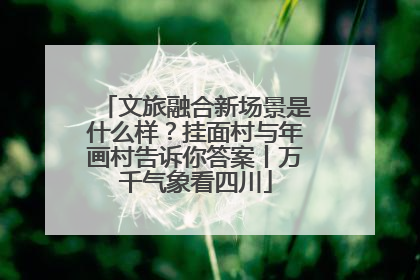 文旅融合新场景是什么样？挂面村与年画村告诉你答案丨万千气象看四川