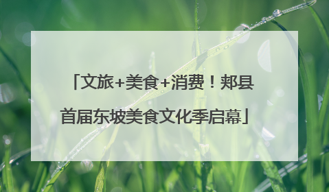 文旅+美食+消费！郏县首届东坡美食文化季启幕