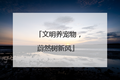 文明养宠物，蔚然树新风