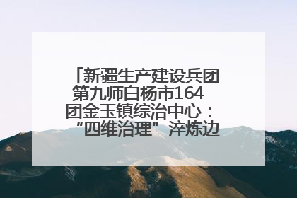 新疆生产建设兵团第九师白杨市164团金玉镇综治中心：“四维治理”淬炼边疆“枫桥样本”