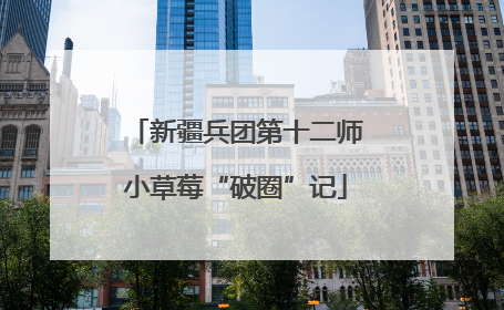 新疆兵团第十二师小草莓“破圈”记