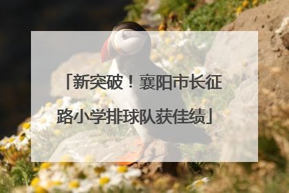 新突破！襄阳市长征路小学排球队获佳绩