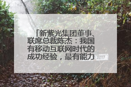 新紫光集团董事、联席总裁陈杰：我国有移动互联网时代的成功经验，最有能力做好AI应用创新