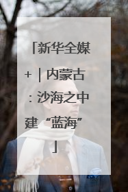 新华全媒+｜内蒙古：沙海之中建“蓝海”