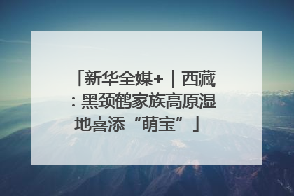 新华全媒+｜西藏：黑颈鹤家族高原湿地喜添“萌宝”