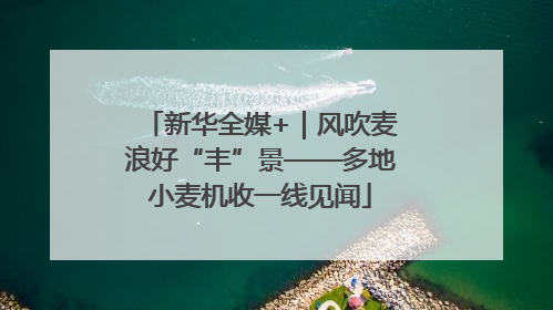 新华全媒+｜风吹麦浪好“丰”景——多地小麦机收一线见闻