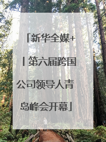 新华全媒+丨第六届跨国公司领导人青岛峰会开幕