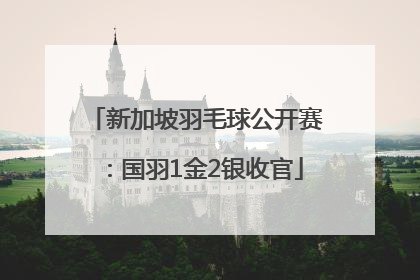 新加坡羽毛球公开赛：国羽1金2银收官