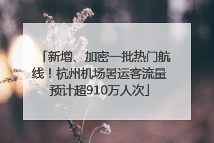 新增、加密一批热门航线！杭州机场暑运客流量预计超910万人次