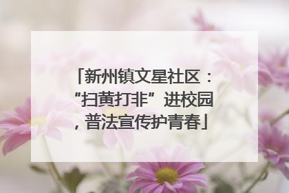 新州镇文星社区：“扫黄打非”进校园，普法宣传护青春