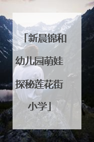 新晨锦和幼儿园萌娃探秘莲花街小学