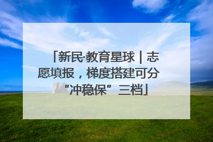 新民·教育星球｜志愿填报，梯度搭建可分“冲稳保”三档