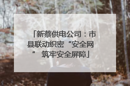 新蔡供电公司：市县联动织密“安全网” 筑牢安全屏障