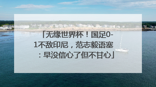 无缘世界杯！国足0-1不敌印尼，范志毅语塞：早没信心了但不甘心