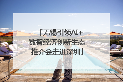 无锡引领AI+数智经济创新生态推介会走进深圳