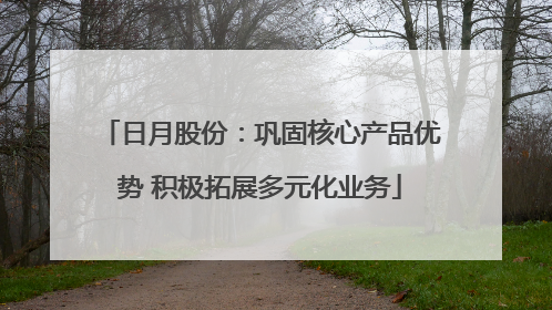 日月股份：巩固核心产品优势 积极拓展多元化业务