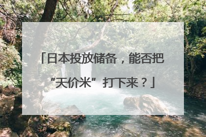 日本投放储备，能否把“天价米”打下来？