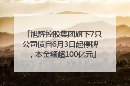 旭辉控股集团旗下7只公司债自6月3日起停牌，本金额超100亿元