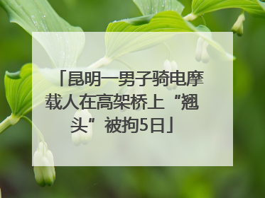 昆明一男子骑电摩载人在高架桥上“翘头”被拘5日