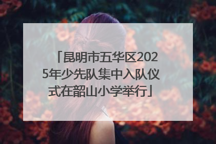 昆明市五华区2025年少先队集中入队仪式在韶山小学举行