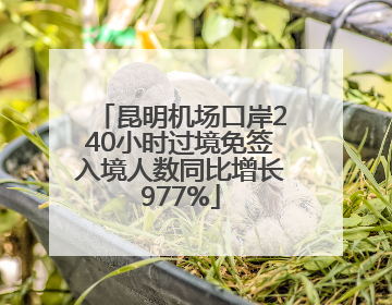 昆明机场口岸240小时过境免签入境人数同比增长977%