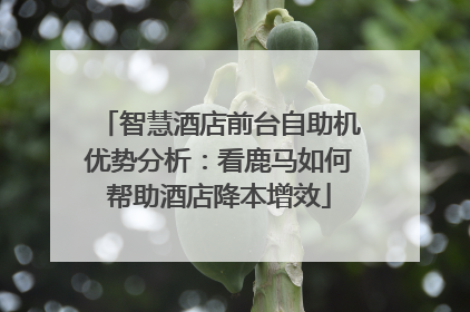智慧酒店前台自助机优势分析：看鹿马如何帮助酒店降本增效