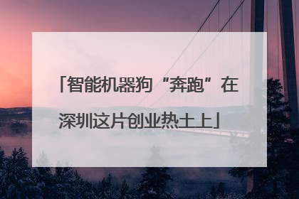智能机器狗“奔跑”在深圳这片创业热土上