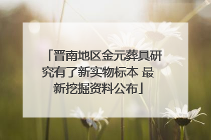 晋南地区金元葬具研究有了新实物标本 最新挖掘资料公布