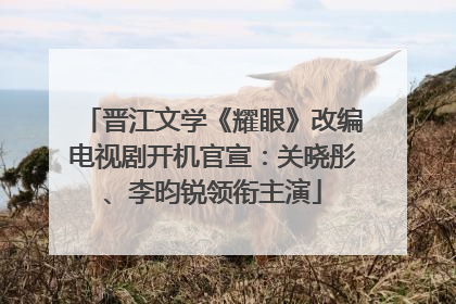 晋江文学《耀眼》改编电视剧开机官宣：关晓彤、李昀锐领衔主演