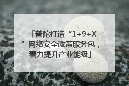 普陀打造“1+9+X”网络安全政策服务包，着力提升产业能级