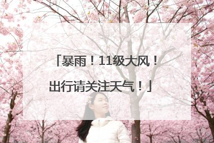 暴雨！11级大风！出行请关注天气！