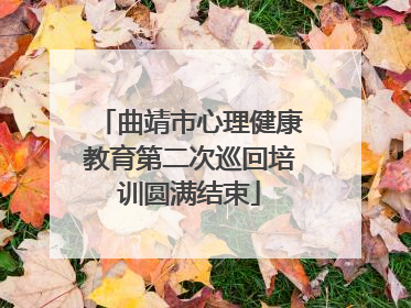 曲靖市心理健康教育第二次巡回培训圆满结束