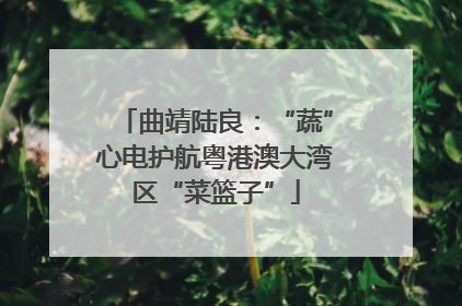 曲靖陆良：“蔬”心电护航粤港澳大湾区“菜篮子”