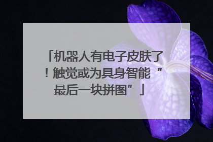机器人有电子皮肤了！触觉或为具身智能“最后一块拼图”