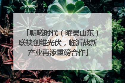 朝曦时代（曜灵山东）联袂创维光伏，临沂战新产业再添重磅合作