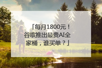 每月1800元！谷歌推出最贵AI全家桶，谁买单？