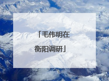 毛伟明在衡阳调研