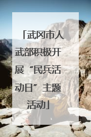 武冈市人武部积极开展“民兵活动日”主题活动