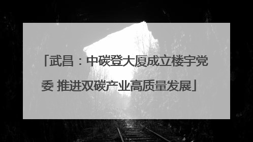 武昌：中碳登大厦成立楼宇党委 推进双碳产业高质量发展