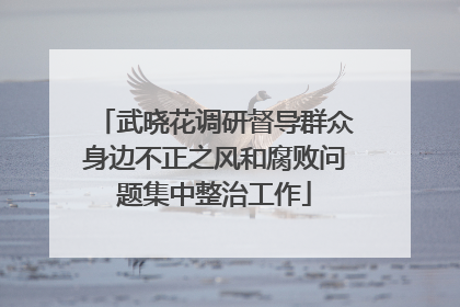武晓花调研督导群众身边不正之风和腐败问题集中整治工作