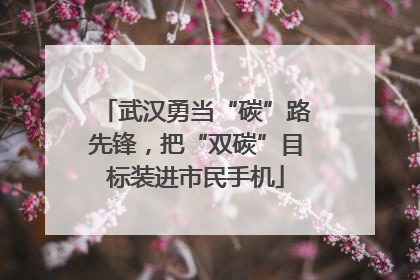 武汉勇当“碳”路先锋，把“双碳”目标装进市民手机