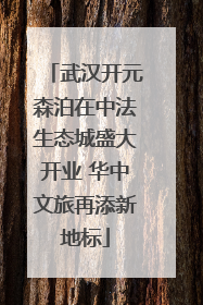 武汉开元森泊在中法生态城盛大开业 华中文旅再添新地标