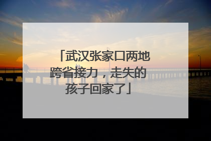 武汉张家口两地跨省接力，走失的孩子回家了