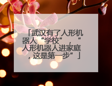 武汉有了人形机器人“学校”，“人形机器人进家庭，这是第一步”