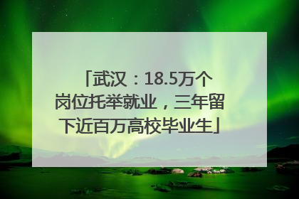 武汉：18.5万个岗位托举就业，三年留下近百万高校毕业生