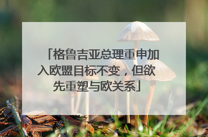格鲁吉亚总理重申加入欧盟目标不变，但欲先重塑与欧关系
